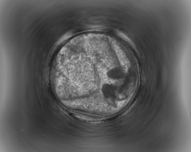 X0000084031411200703092000