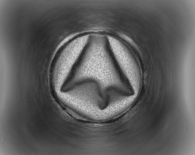 X0000084031412200703092000