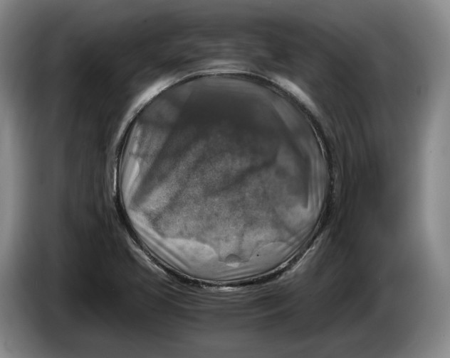 X0000084031413200703092000