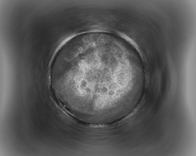 X0000084031415200703092000