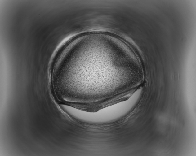 X0000084031416200703092000