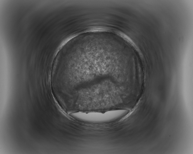 X0000084031417200703092000