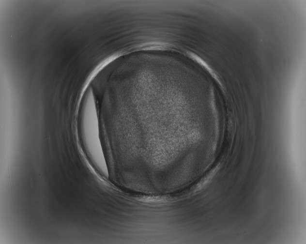 X0000084031418200703092000