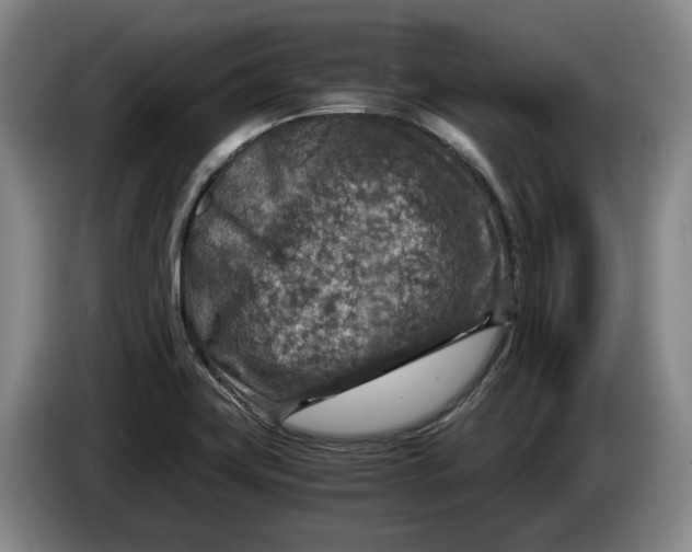 X0000084031419200703092000