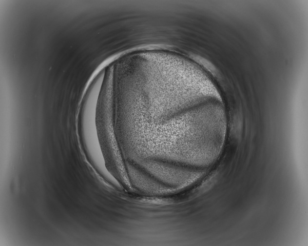 X0000084031420200703092000