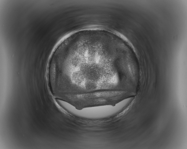 X0000084031421200703092000