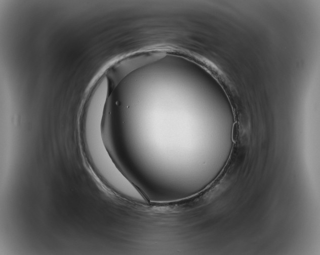 X0000084031422200703092000