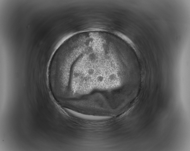 X0000084031423200703092000