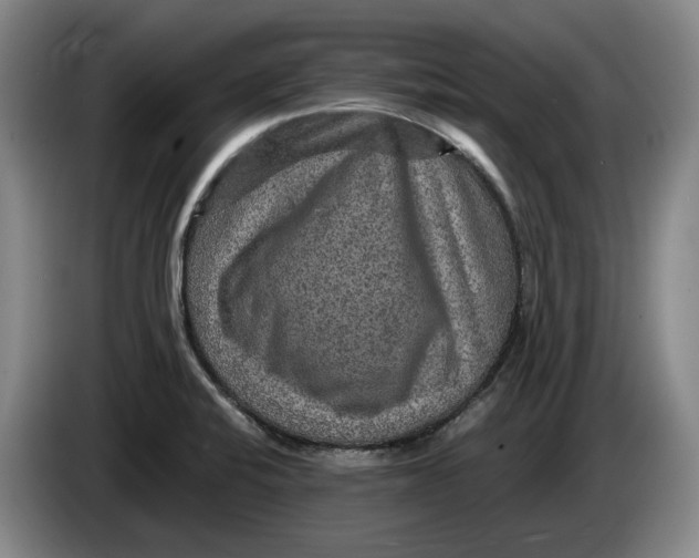 X0000084031424200703092000