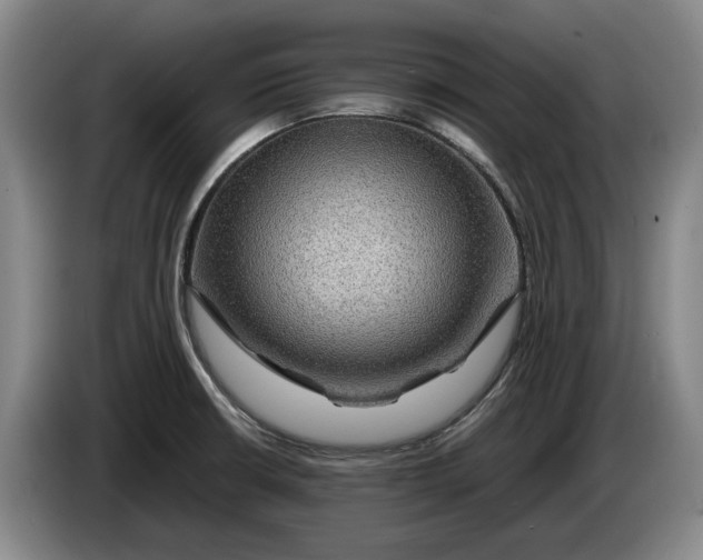 X0000084031426200703092000