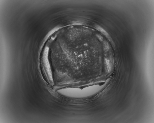 X0000084031427200703092000