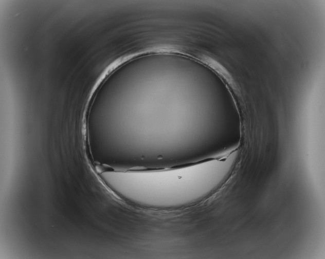 X0000084031428200703092000