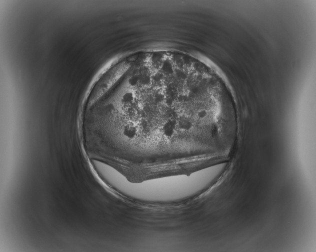 X0000084031429200703092000