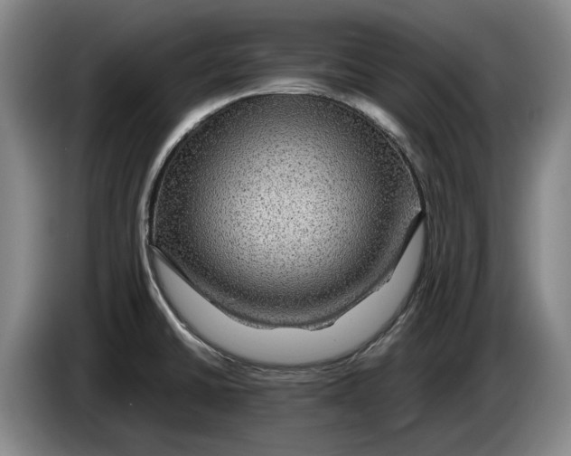 X0000084031430200703092000