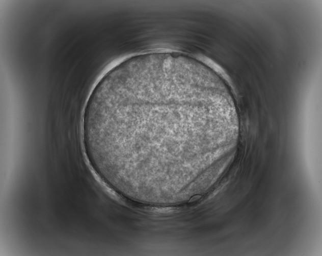 X0000084031431200703092000