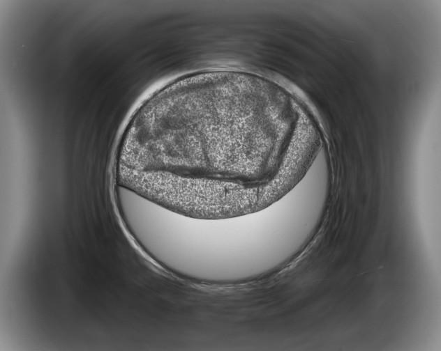 X0000084031432200703092000