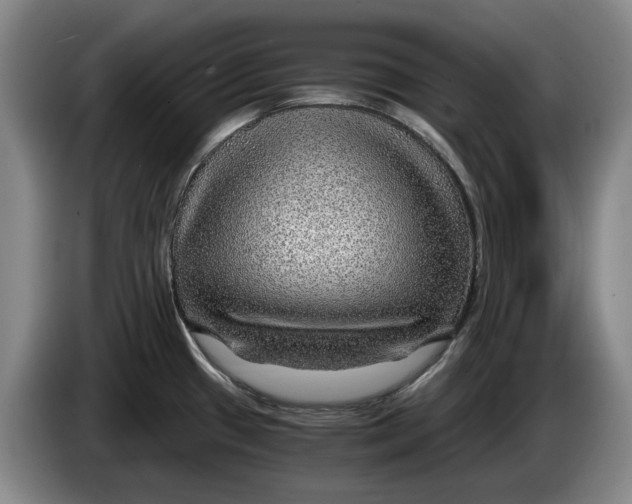 X0000084031433200703092000