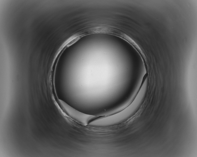 X0000084031434200703092000