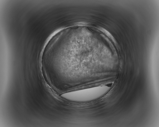 X0000084031435200703092000