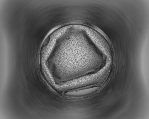 X0000084031436200703092000