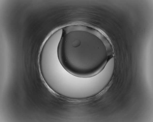 X0000084031438200703092000