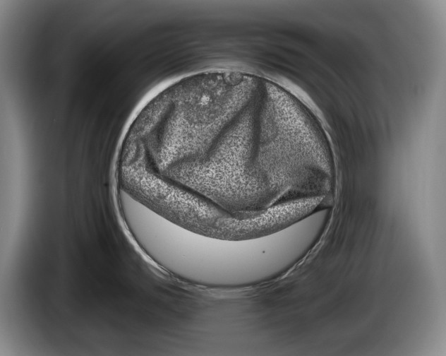 X0000084031440200703092000