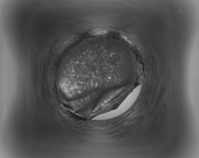 X0000084031441200703091959