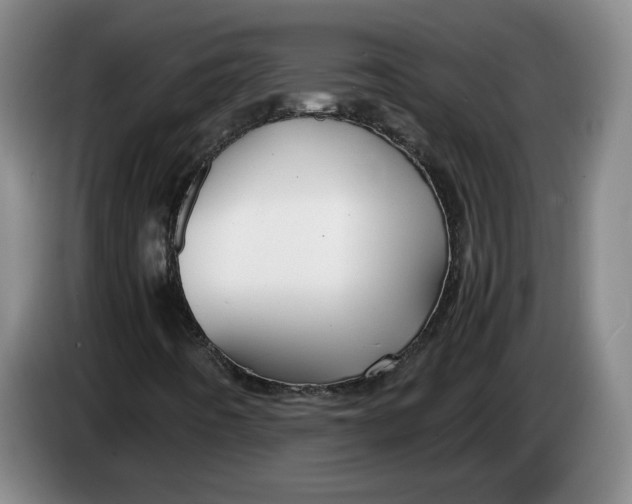 X0000084031442200703091959