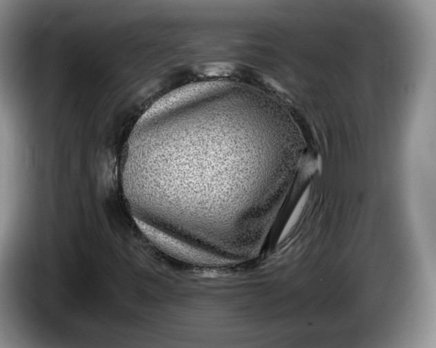 X0000084031443200703091959