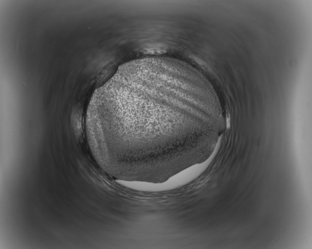 X0000084031444200703091959