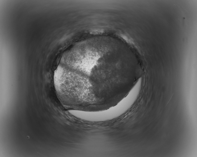 X0000084031445200703091959