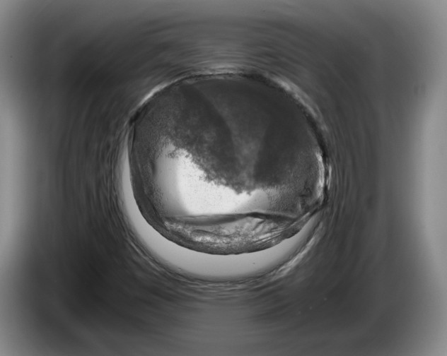 X0000084031449200703091959