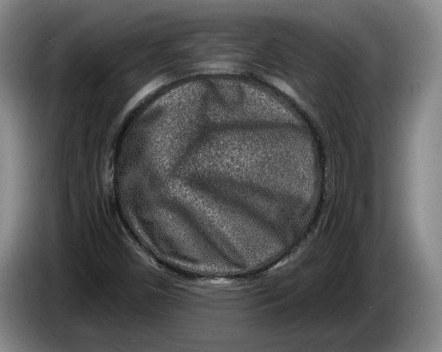 X0000084031450200703091959