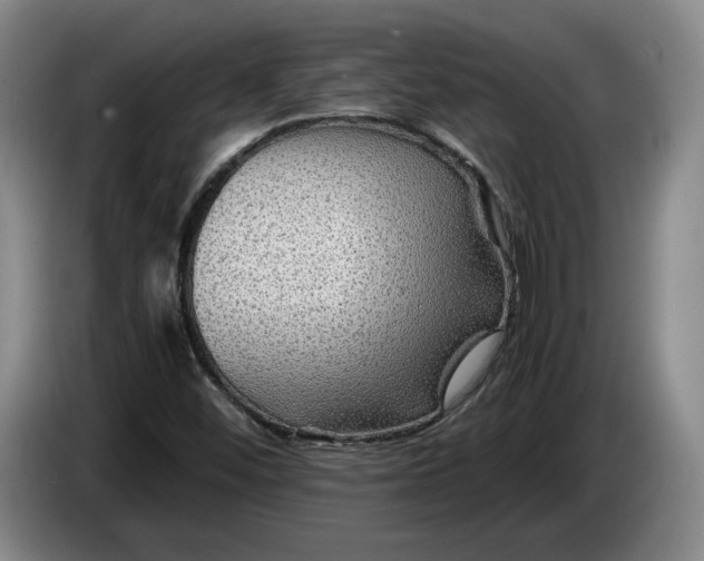 X0000084031452200703091959