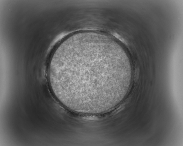 X0000084031454200703091959