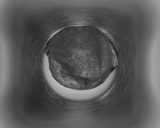 X0000084031457200703091959