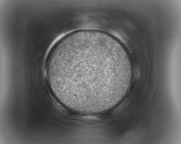 X0000084031462200703091959