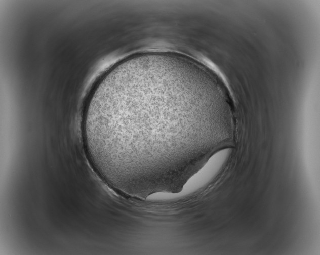 X0000084031464200703091959