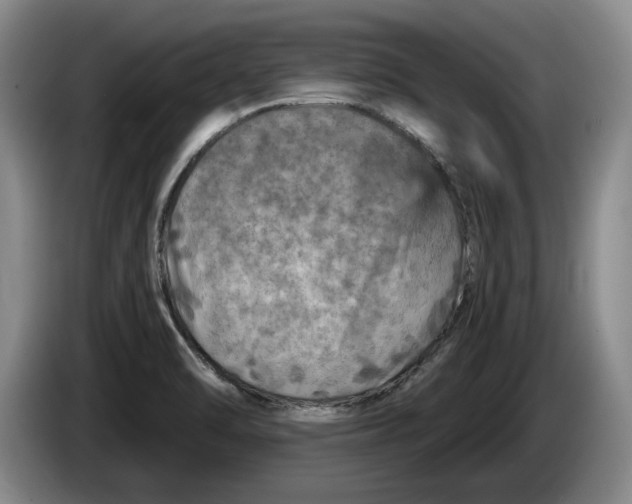 X0000084031470200703091959