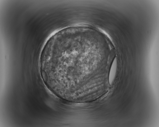 X0000084031471200703091959