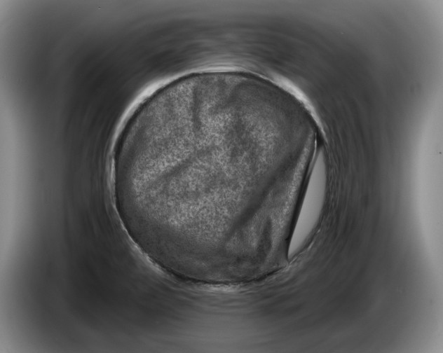 X0000084031472200703091959