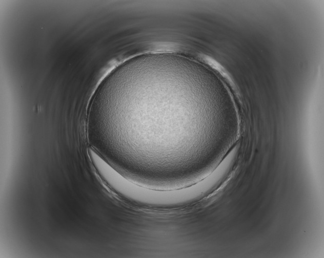 X0000084031473200703091959