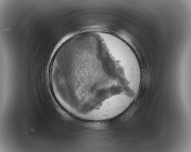 X0000084031474200703091959