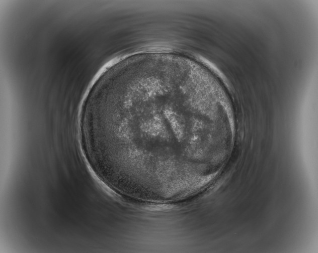 X0000084031475200703091959