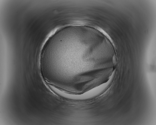 X0000084031477200703091959