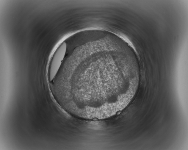 X0000084031480200703091959