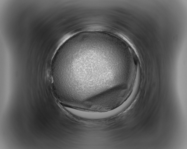 X0000084031481200703091959