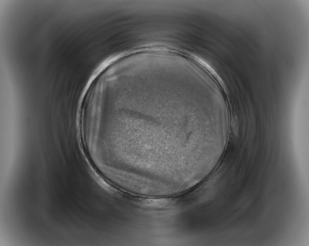 X0000084031482200703091959