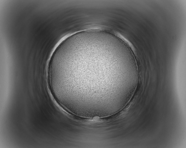 X0000084031483200703091959