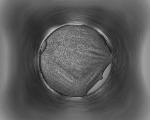 X0000084031484200703091959